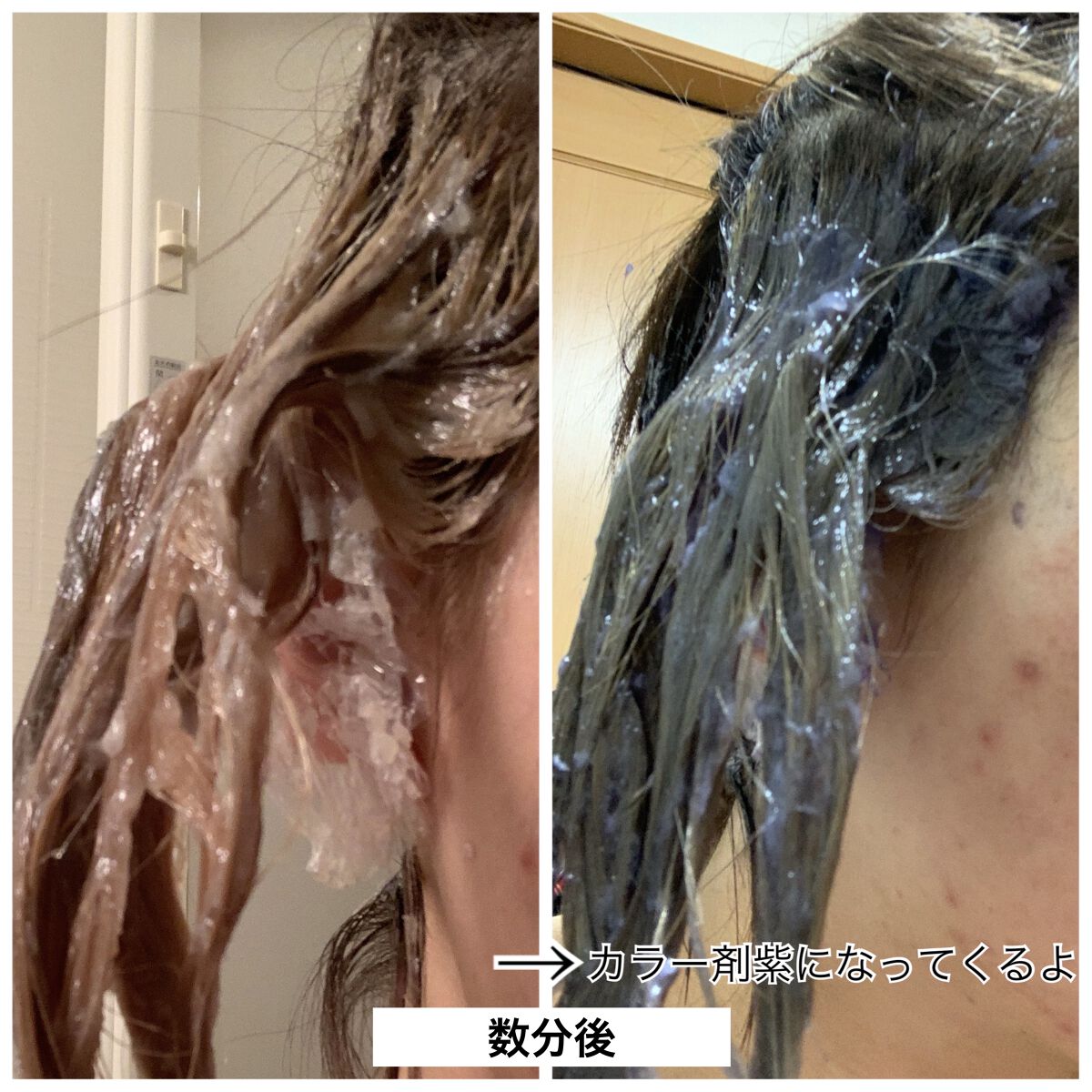 ヘアカラーリング剤 多色セット 51個 カラージェニック ミルキーヘアカラー(ちらっと白髪用