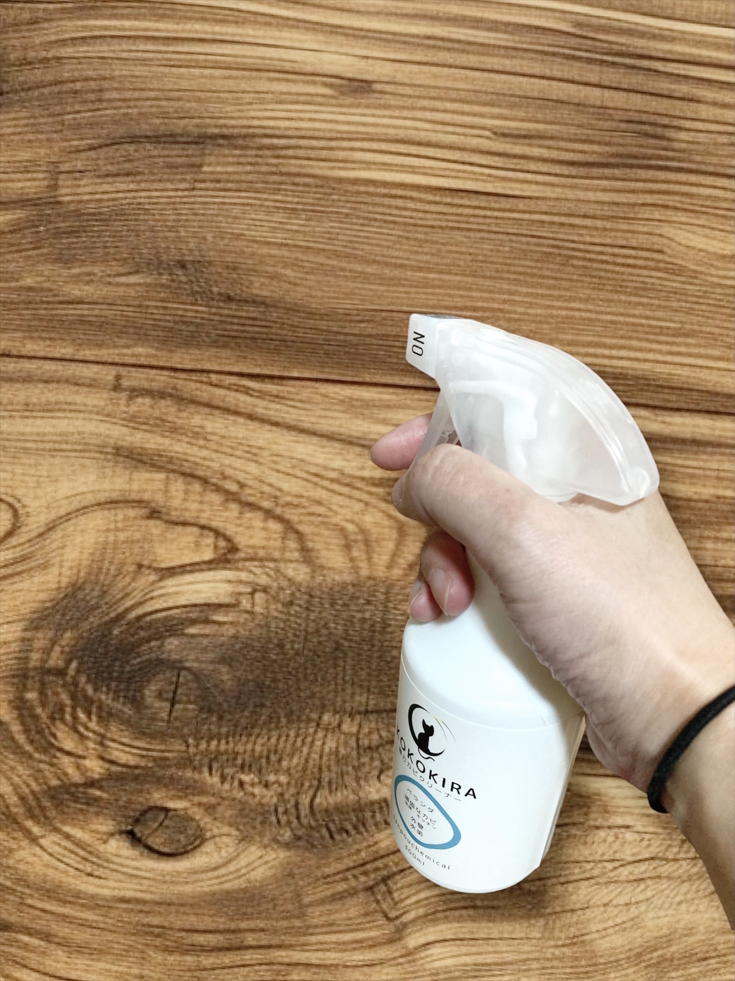 KOKOKIRA強力カビクリーナー/三宝ケミカル/その他を使ったクチコミ（2枚目）