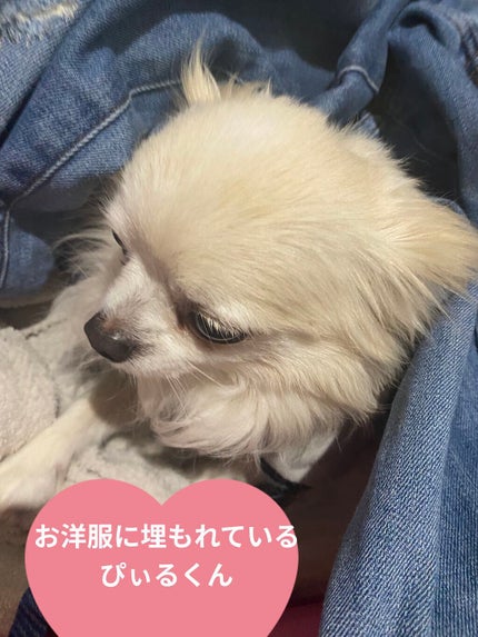 クナイプ スパークリングタブレット ラベンダーの香り/クナイプ/入浴剤を使ったクチコミ(6枚目)