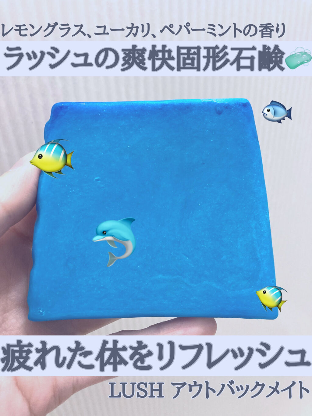 ラッシュ アウトバックメイトのクチコミ「🐈マイブーム固形石鹸🐈🐬


最近自分の中で空前の固形石鹸ブーム
到来しております🐬🐬

LU.....」（1枚目）