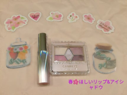 【旧品】パーフェクトスタイリストアイズ/キャンメイク/アイシャドウパレットを使ったクチコミ(1枚目)