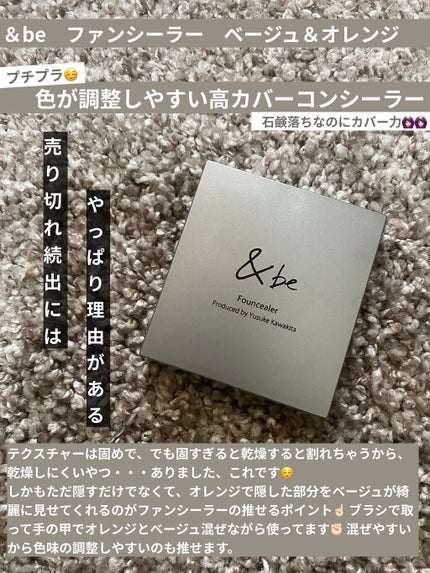 &be ファンシーラー/&be/パレットコンシーラーを使ったクチコミ(1枚目)