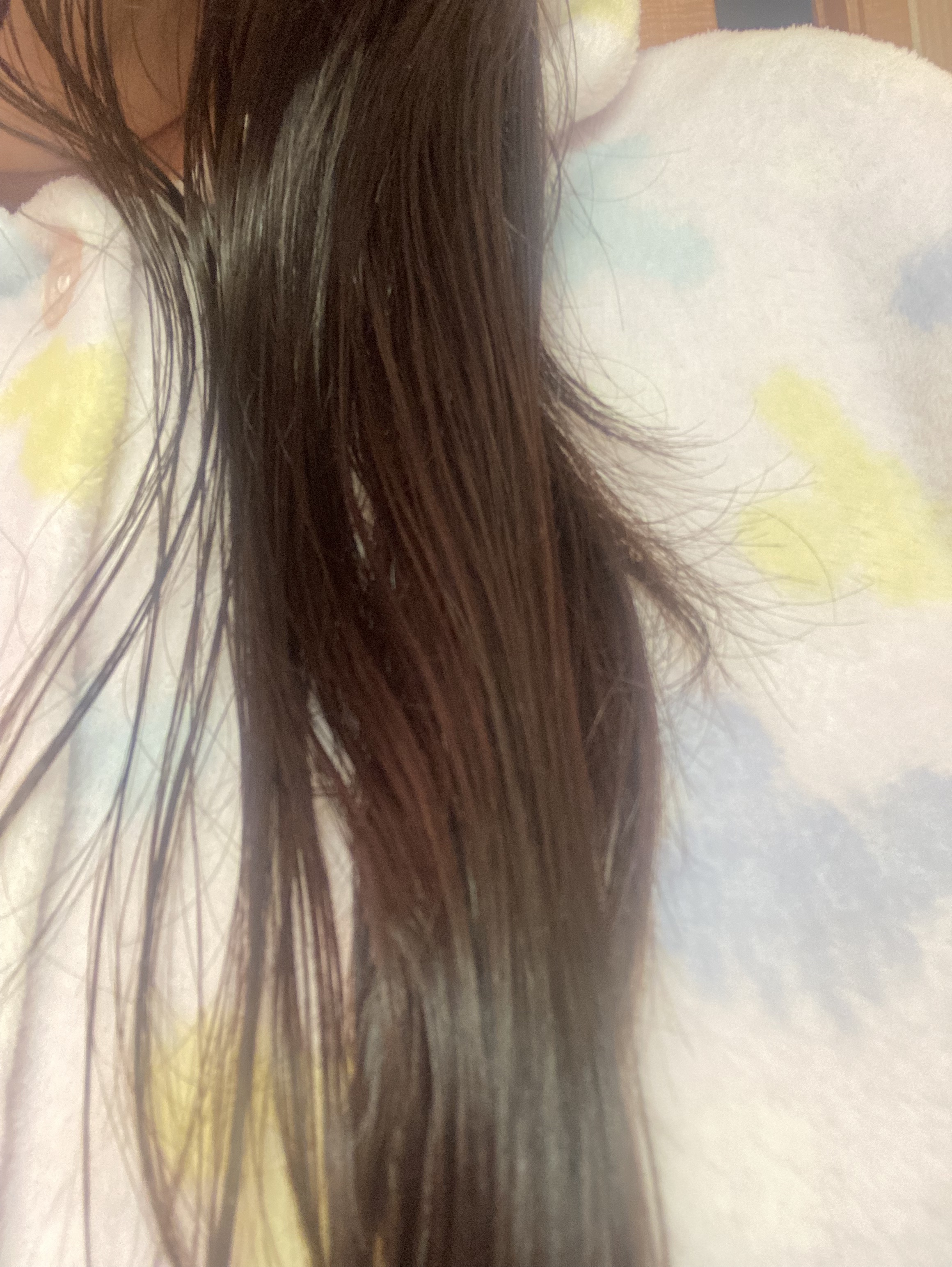 モイスチャーライジング＆リペアブースター 導入液ヘアミスト つめかえ 200ml/エイトザタラソ/ヘアミストを使ったクチコミ（2枚目）