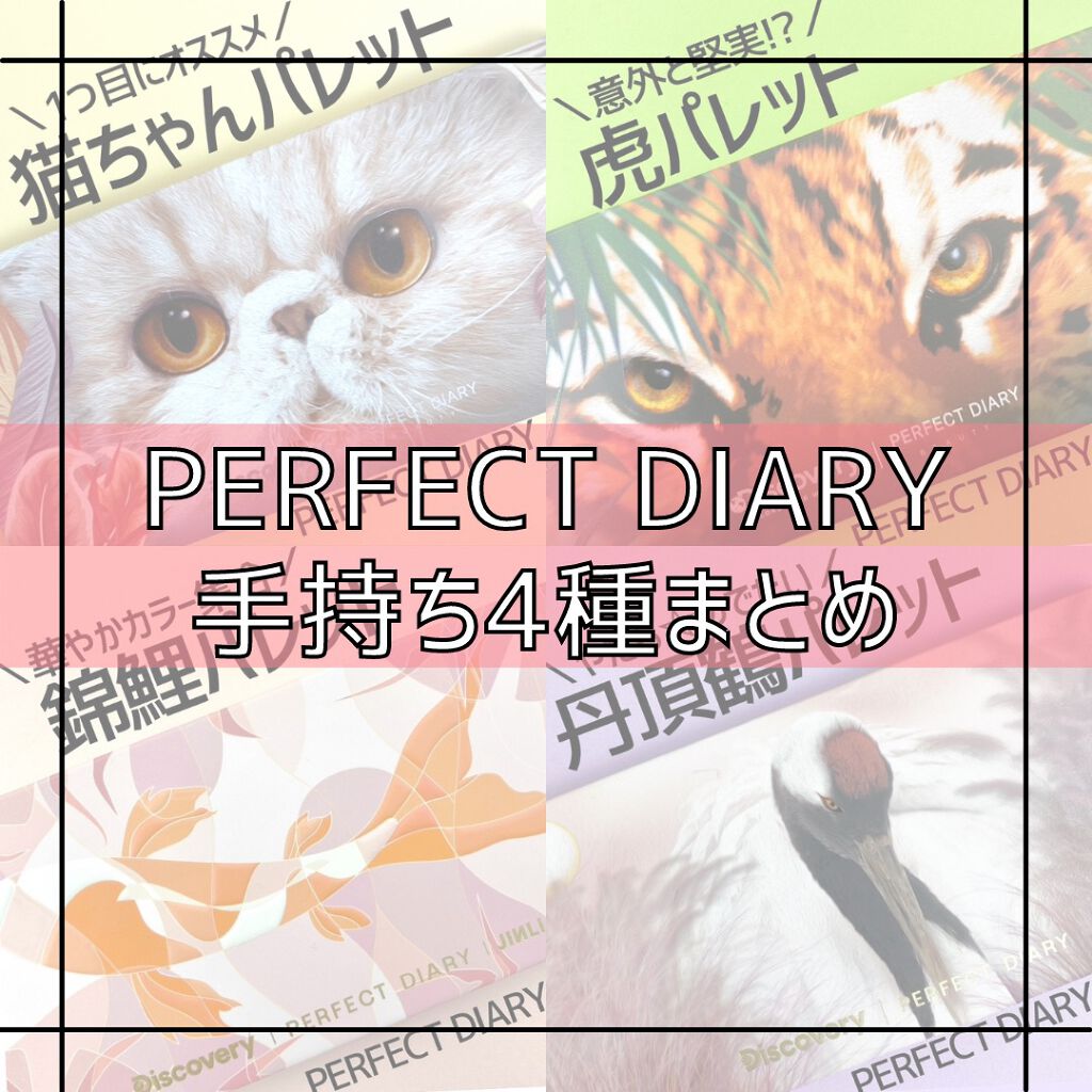 エクスプローラ12色 動物アイシャドウパレット/PERFECT DIARY/アイシャドウパレットを使ったクチコミ（1枚目）