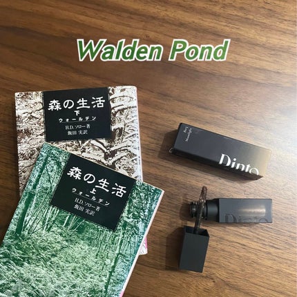 フローティングライトグリッター/Dinto/グリッターを使ったクチコミ(1枚目)