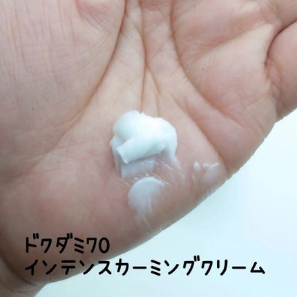 ドクダミ 77 スージングトナー/Anua/化粧水を使ったクチコミ(8枚目)