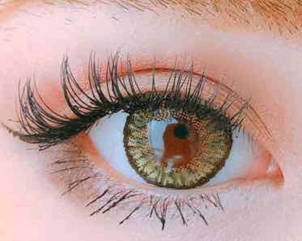 ロング&カールマスカラ アドバンストフィルム/ヒロインメイク/マスカラを使ったクチコミ(2枚目)