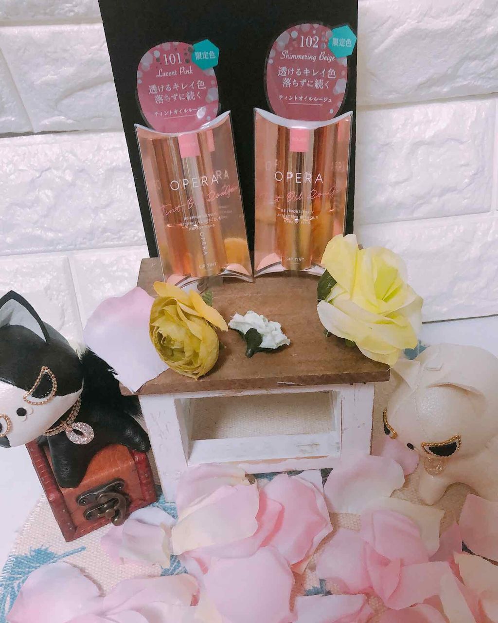 オペラ リップティント N/OPERA/リップティントを使ったクチコミ（2枚目）