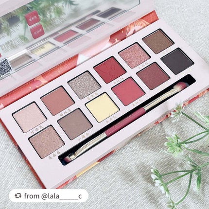 エクスプローラ12色 動物アイシャドウパレット/PERFECT DIARY/アイシャドウパレットを使ったクチコミ(2枚目)