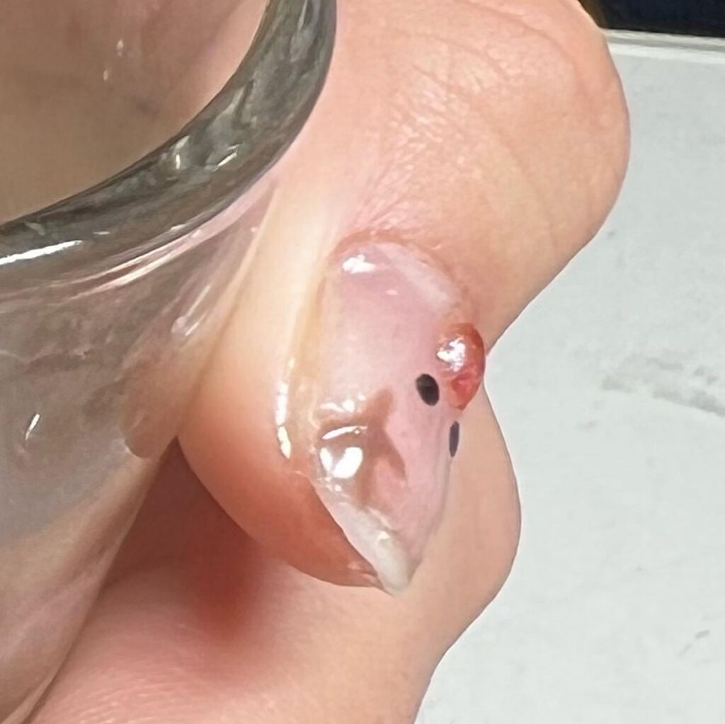 ジェルネイル（ライト対応）/セリア/ジェルネイルを使ったクチコミ（3枚目）