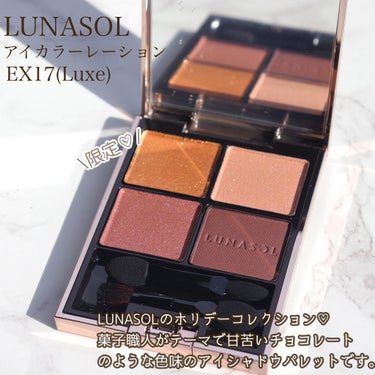 アイカラーレーション EX17 Luxe（限定発売）/LUNASOL/アイシャドウパレットを使ったクチコミ（2枚目）