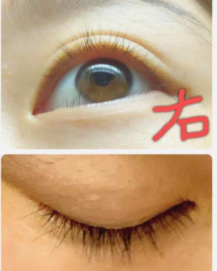 を使ったクチコミ(1枚目)