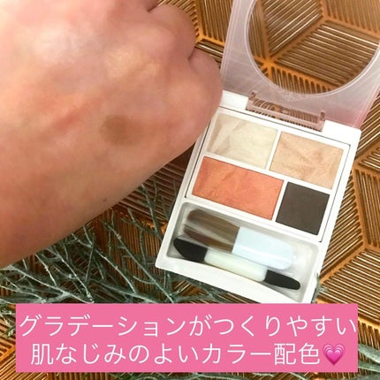 カラーパレット/パラドゥ/マルチパレットを使ったクチコミ(2枚目)