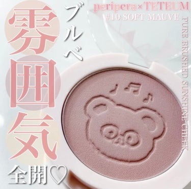 ブルベ向け♡大人なモーヴ漂うローズチーク


peripera
pure brushed sunshine cheek
10 SOFT MAUVE



peripera×TETEUMコラボのピュアブラ