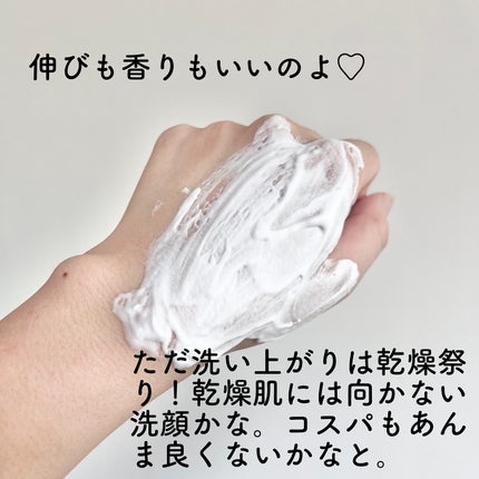 クリーミーバブルウォッシュ/Urar /泡洗顔を使ったクチコミ(4枚目)