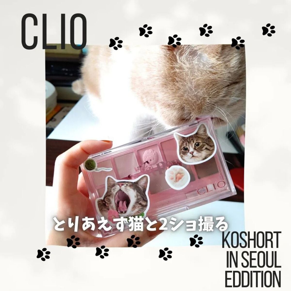 プロ アイ パレット/CLIO/アイシャドウパレットを使ったクチコミ(6枚目)