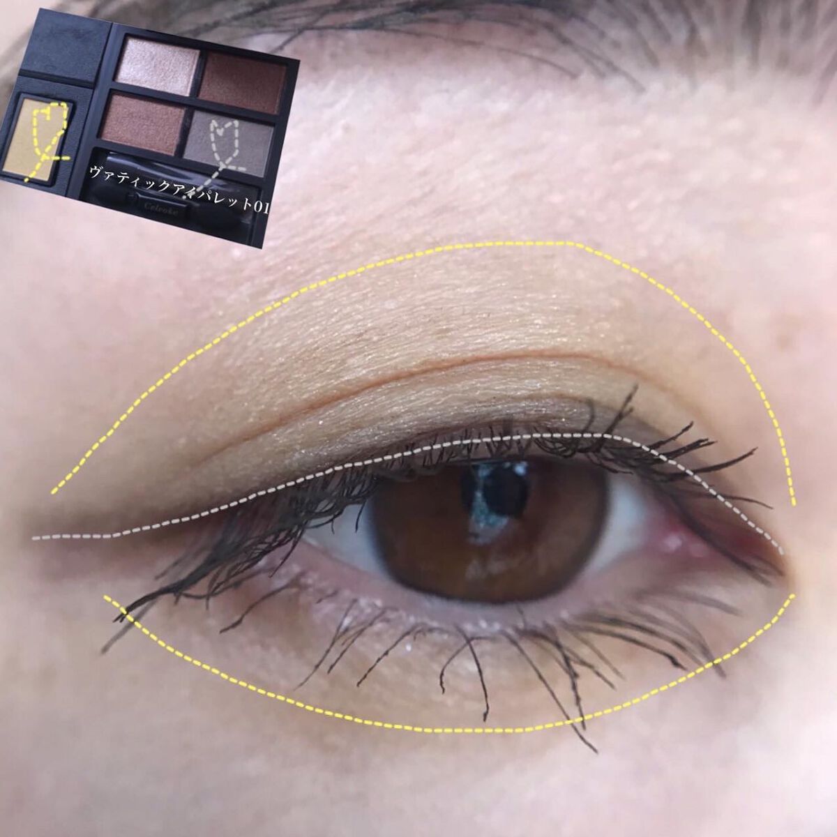 ヴァティック アイズ/Celvoke/単色アイシャドウを使ったクチコミ(5枚目)