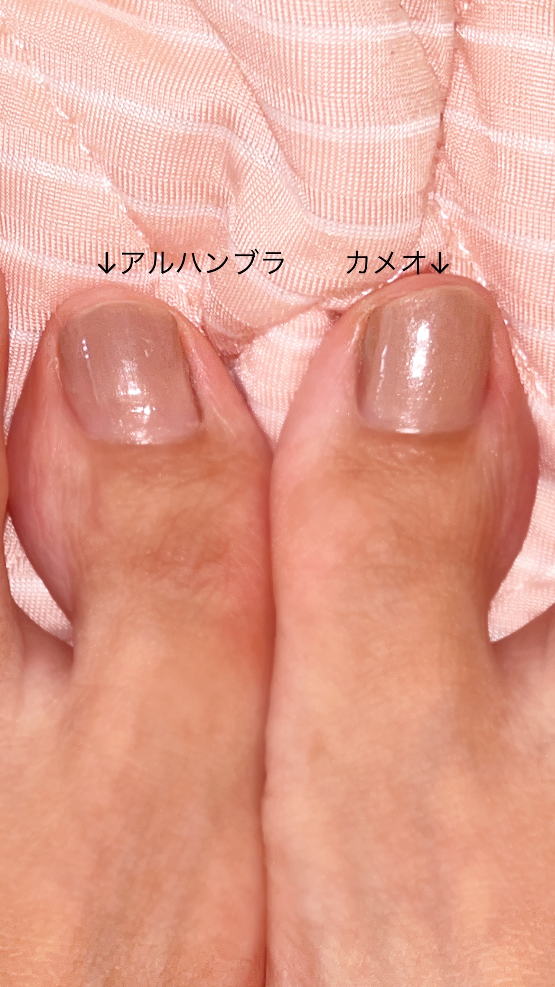 ジーニッシュ 62 CAMEO カメオ/ジーニッシュマニキュア/マニキュアを使ったクチコミ（3枚目）