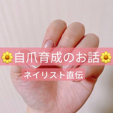 
🌼自爪育成のお話🌼

久しぶりにジェルネイルオフしました！
ので、自爪育成期間にします。

お世話になっているネイリストさんに
「自爪だと折れやすくて〜💦」
と話したらアドバイスいただけました💓💓

早速、自爪育成方法を伝えます。

🌟自爪育成やり方
乾いた爪にベースコートを薄く1回塗る(1日目)
↓
乾いた爪にベースコートを薄く1回塗る(2日目)
↓
乾いた爪にベースコートを薄く1回塗る(3日目)
↓
乾いた爪にベースコートを薄く1回塗る(4日目)
↓
↓
↓
ベースコート除去(7〜10日目頃)
〜1日目に戻る〜

🌟ポイント
・薄く一度塗り！
二度塗りや厚く塗ったりすると中がしっかり乾かないため、一度塗りがポイントだそうです。

・7〜10日目に除去する
放置しすぎるとベースコートが薄くなり、折れる可能性が上がるそうです。

・爪が乾いている状態で塗ること
マニキュアもそうですが、濡れている状態ですると乾きづらくヨレる可能性が上がります。
お風呂上がりなら約1時間後、アルコール入りウェットティッシュで拭いて3分後くらいに塗れば良いそうです。


✼••┈┈••✼••┈┈••✼••┈┈••✼••┈┈••✼


これは、お世話になっているネイリストさんが、検定や試験、コンテストなどでネイルモデルさんにお願いしている自爪育成方法です。

この育成方法+ハンドケアをするといいよ〜言われましたが、正直めんどくさい😂😂
と思っていましたが、案外イケる。

以前投稿した、毎日のネイルケアをする前にベースコートを塗るだけです(笑)

風呂上がりの順番としては
スキンケア→ヘアオイル→ボディクリーム→ドライヤー
ここまでで大体30分くらいかかります。
その後、洗い物をしたり弁当を詰めたりなんやかんやしたら1時間。
アルコールウエットティッシュで拭いてからベースコートを塗り、乾いたらネイルオイル→ハンドクリーム💅

今何日目だっけ？となることが多いので、土曜〜火曜日はベースコートの日！と4日間曜日を固定するのがおすすめです。

めんどくさいけど、これで爪が強くなるなら嬉しいです😊💓
しばらくはカラーを乗せないつもりなので、頑張って育成していきます！！

ベースコートはネイルホリックのものを使用中🌼

#ネイルケア　#ハンドケア　#自爪育成 の画像 その0