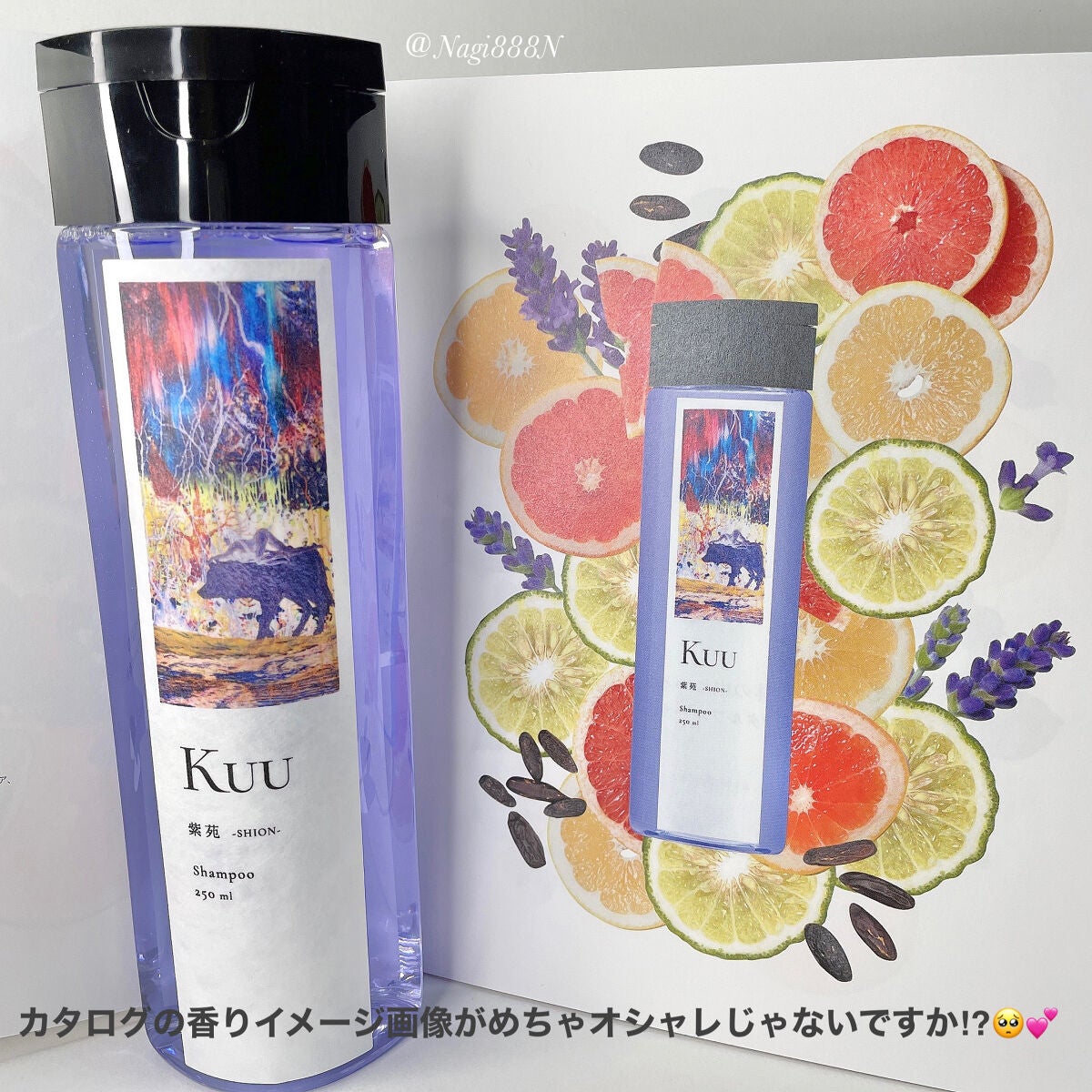 Nagi フォロバ100☺︎ on LIPS 「KUUKuuプレミアムシャンプー紫苑-SHION-ふんわりタイ..」(6枚目)