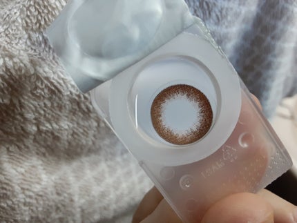 feliamo 1day エスプレッソ/feliamo/ワンデー(1DAY)カラコンの画像