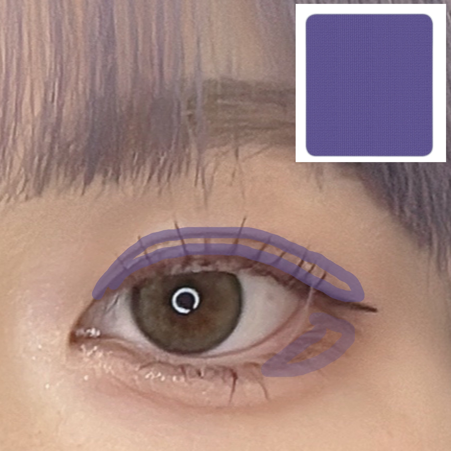 アーティストカラーシャドウ M-924 パープル/MAKE UP FOR EVER/アイシャドウパレットを使ったクチコミ（3枚目）