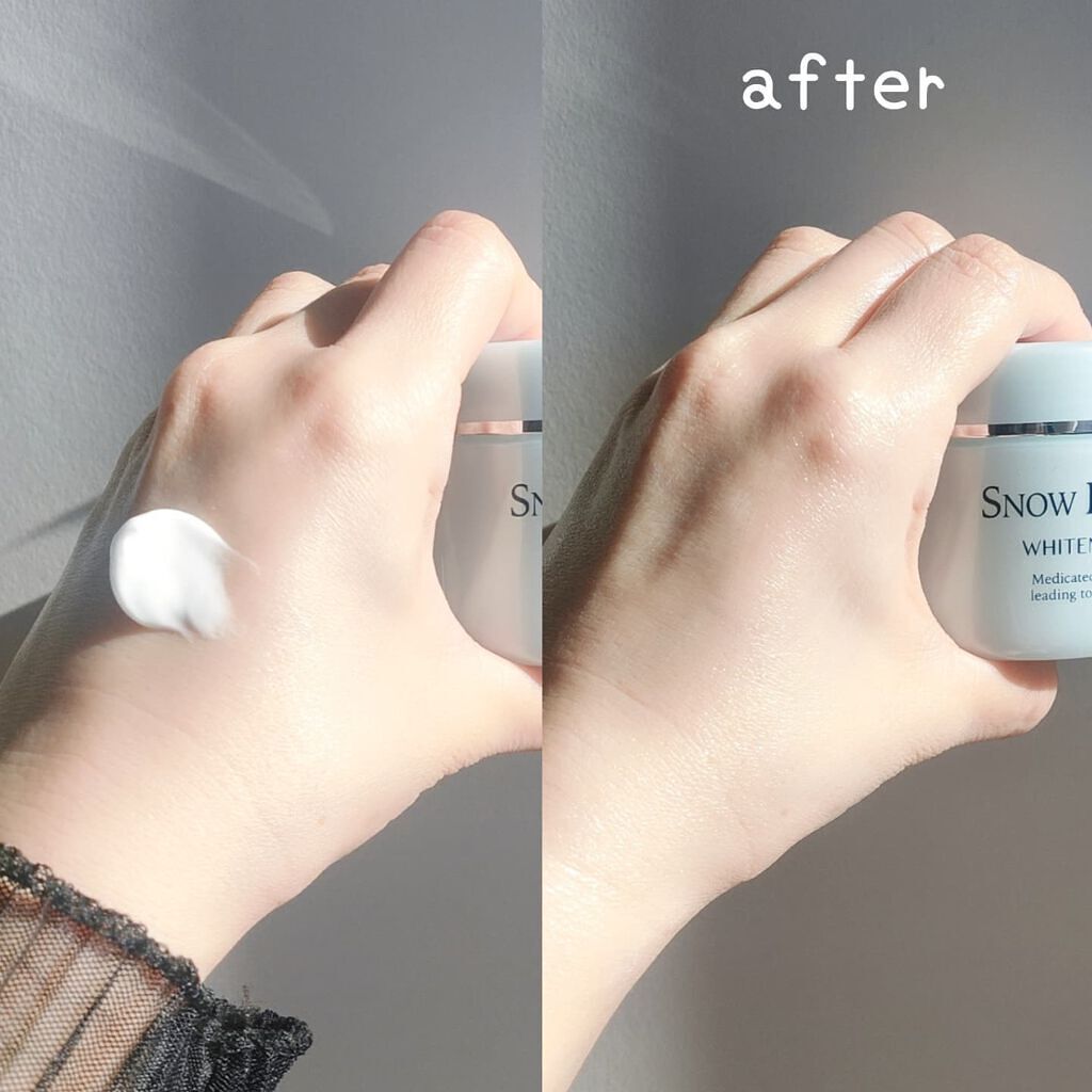 スノーライトEX｜VITOWAの使い方を徹底解説 - ヴィトワ『スノーライト