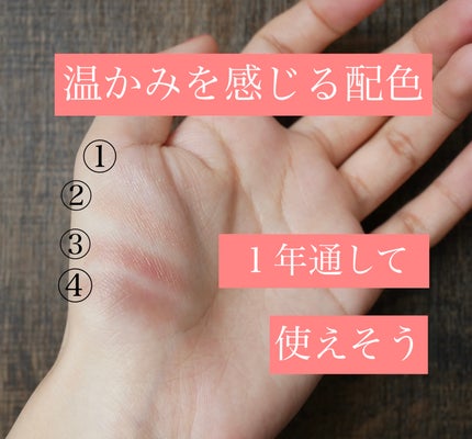 スキニーリッチシャドウ SR11'23 ブリックブラウン(限定デザイン)/excel/アイシャドウパレットの画像