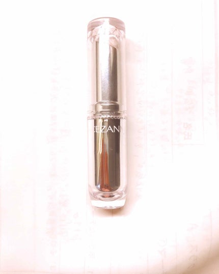 ラスティンググロスリップ/CEZANNE/口紅を使ったクチコミ(1枚目)