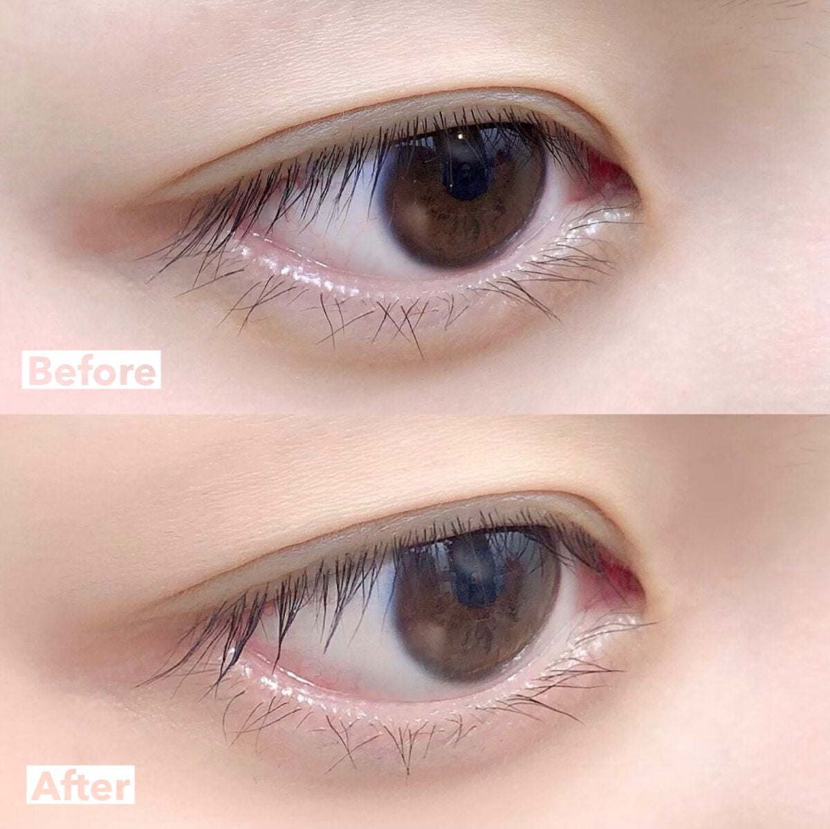 マジックティント/MAJOLICA MAJORCA/マスカラを使ったクチコミ(8枚目)