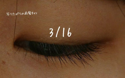 ラッシュジェリードロップ EX/MAJOLICA MAJORCA/まつげ美容液を使ったクチコミ(3枚目)