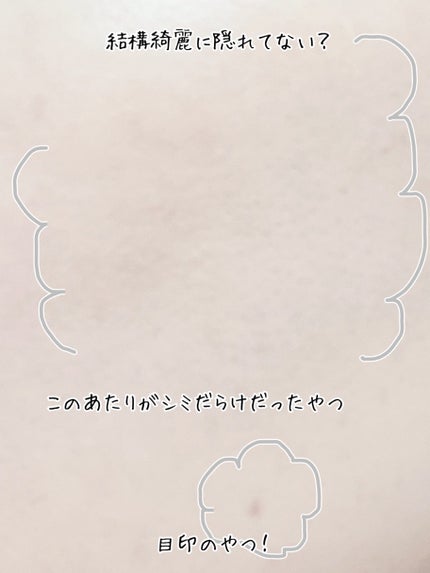 カバーアッププロコンシーラー/TFIT/パレットコンシーラーを使ったクチコミ(4枚目)