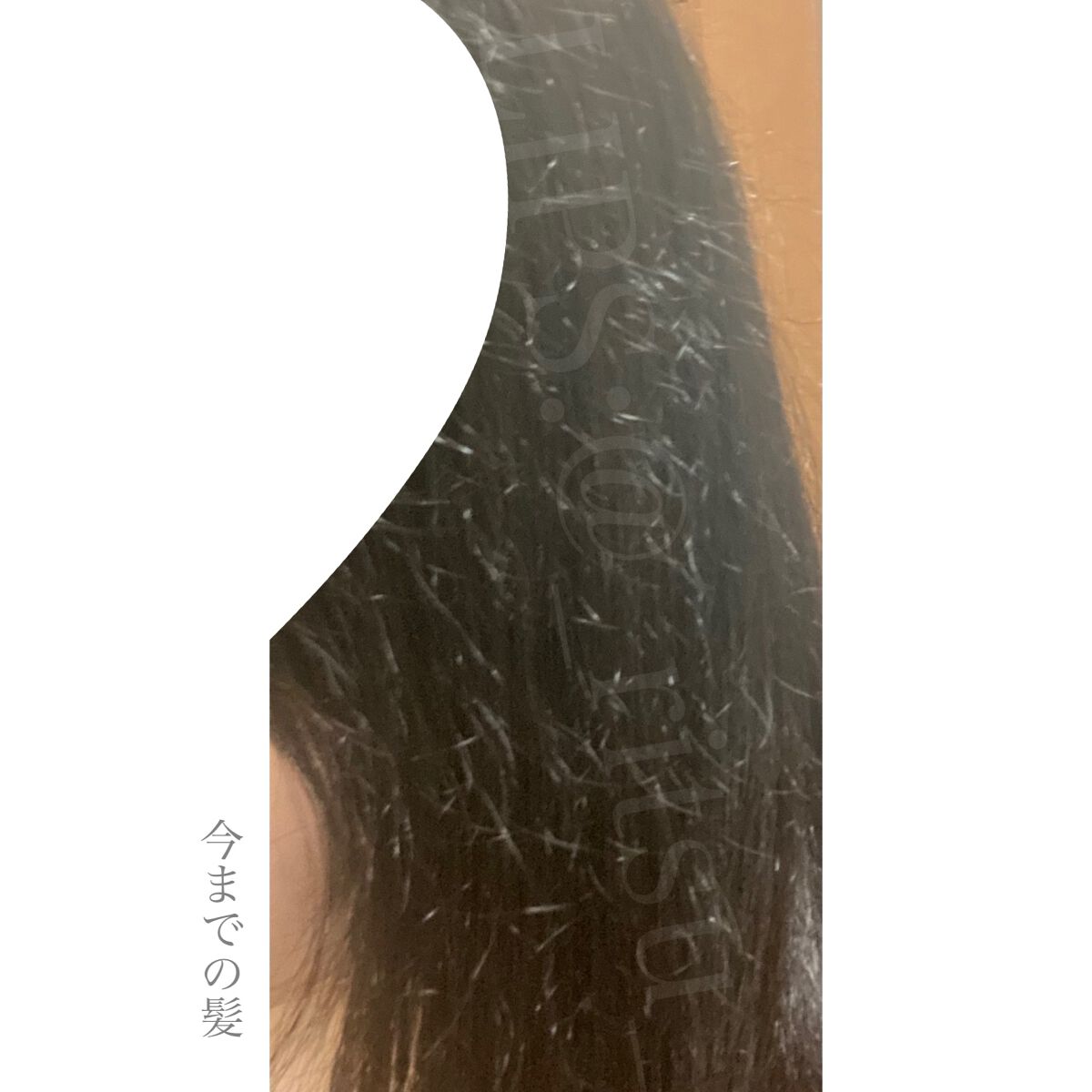 iP タラソリペア 補修美容液シャンプー/補修美容液トリートメント (ディープモイスト)/Je l&#39;aime/市販シャンプーを使ったクチコミ（2枚目）