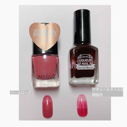 miia ネイルカラー/DAISO/マニキュアを使ったクチコミ(5枚目)