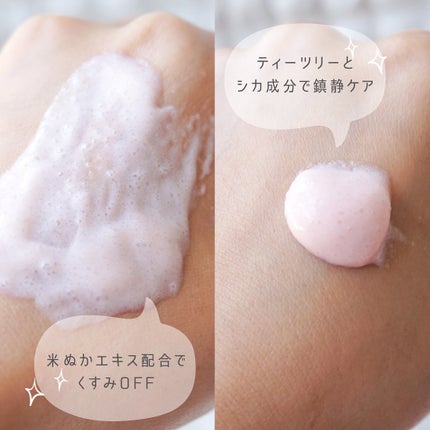 ピンクティーツリーライスシカウォッシュオフパック/APLIN/洗い流すパック・マスクを使ったクチコミ(2枚目)