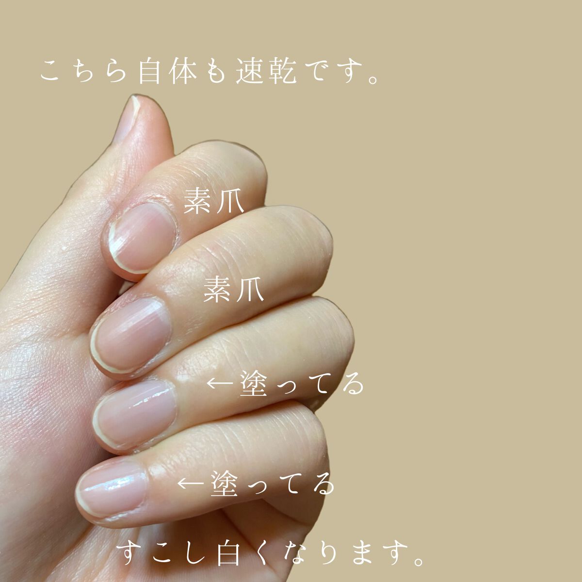 クイック ドライ ベース コート N/REVLON/ネイルベースコートを使ったクチコミ(2枚目)