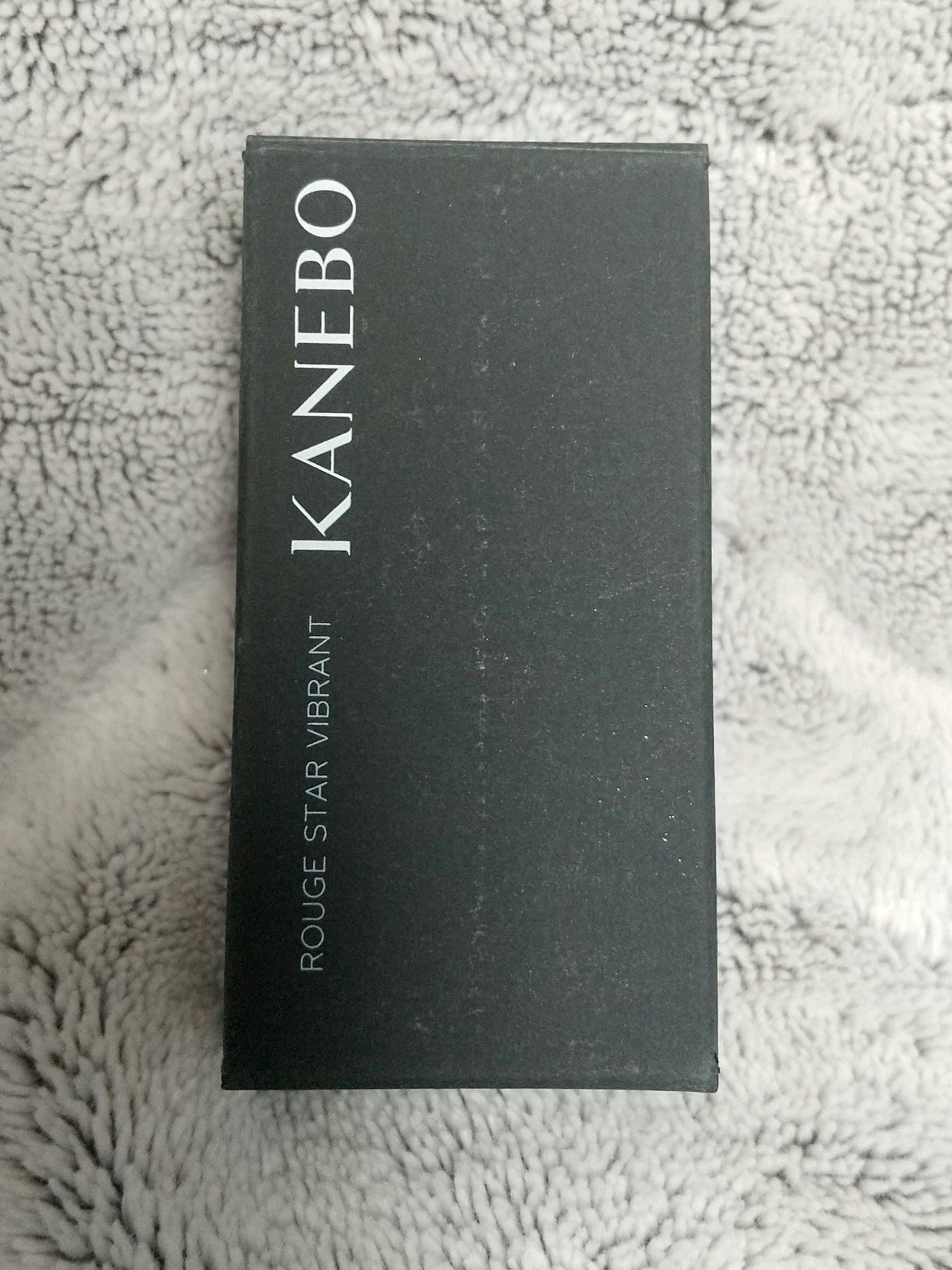 ルージュスターヴァイブラント/KANEBO/口紅を使ったクチコミ(1枚目)