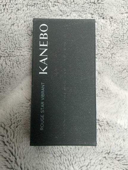 ルージュスターヴァイブラント/KANEBO/口紅を使ったクチコミ(1枚目)
