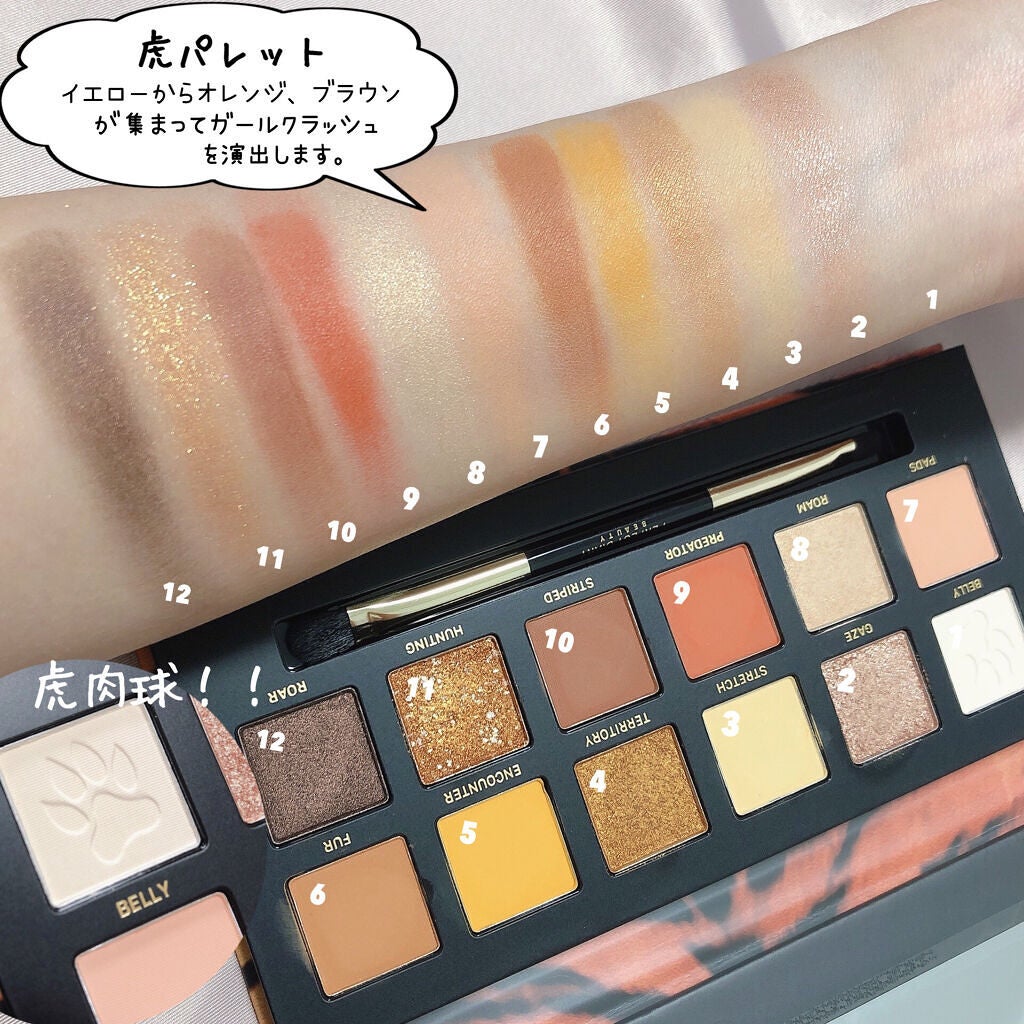 エクスプローラ12色 動物アイシャドウパレット/PERFECT DIARY/アイシャドウパレットを使ったクチコミ(6枚目)