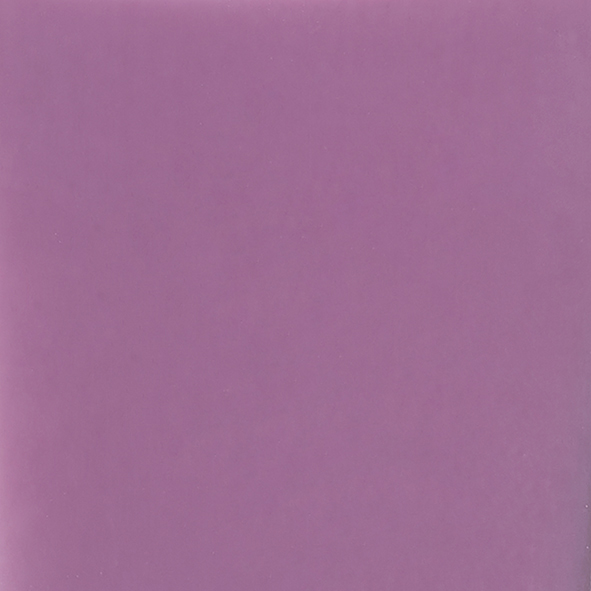 ネイル カラー ポリッシュ 160 漿果 -SHOUKA（限定色）