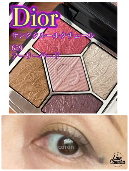 サンク クルール クチュール<バーズ オブ ア フェザー>/Dior/アイシャドウパレットを使ったクチコミ(1枚目)