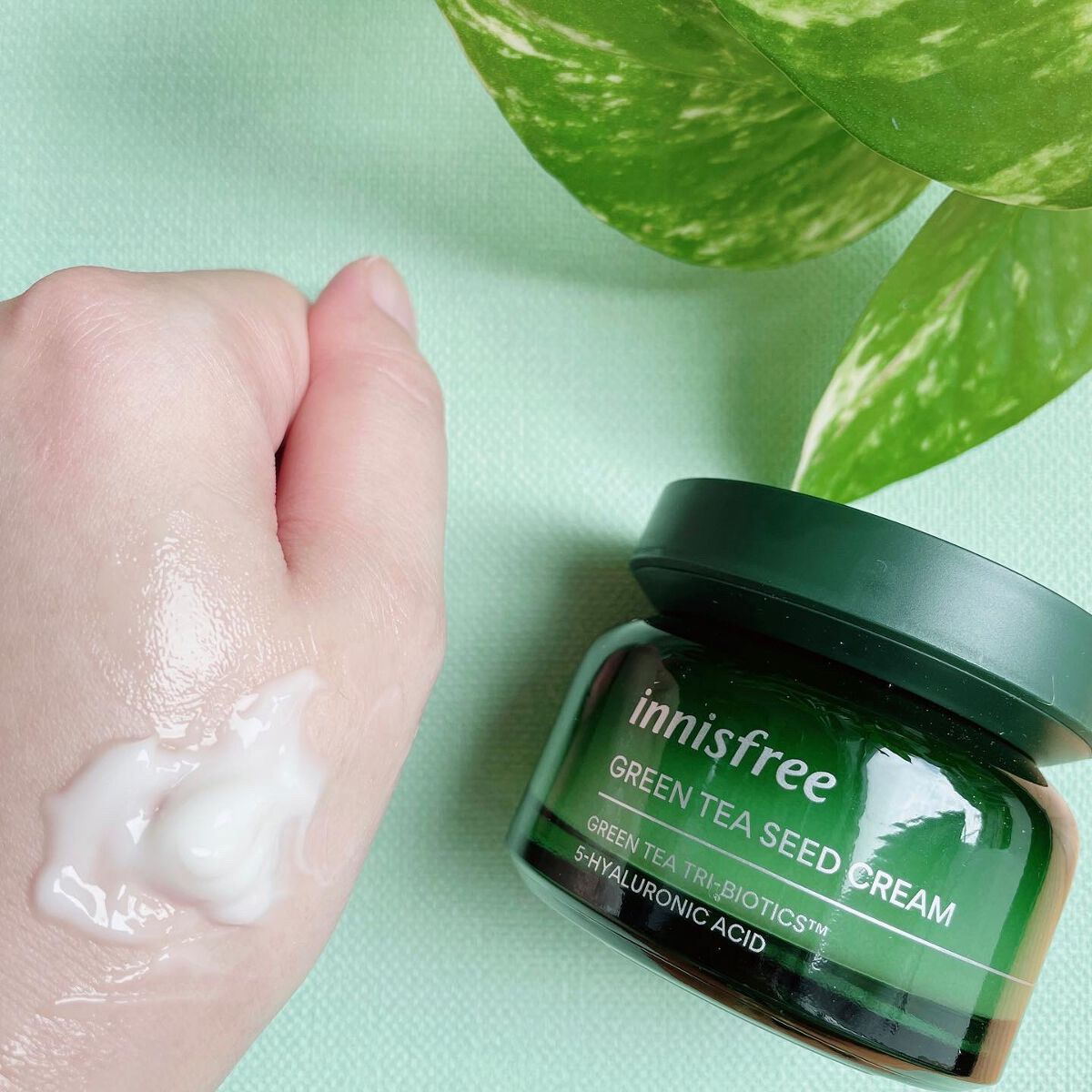 グリーンティーシード クリーム 50ml/innisfree/フェイスクリームを使ったクチコミ（3枚目）