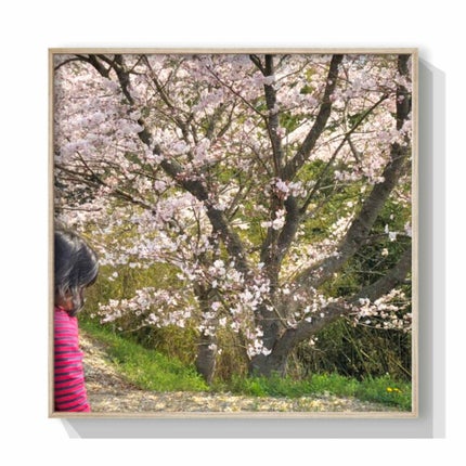 ルージュ アンリミテッド/shu uemura/口紅を使ったクチコミ(4枚目)