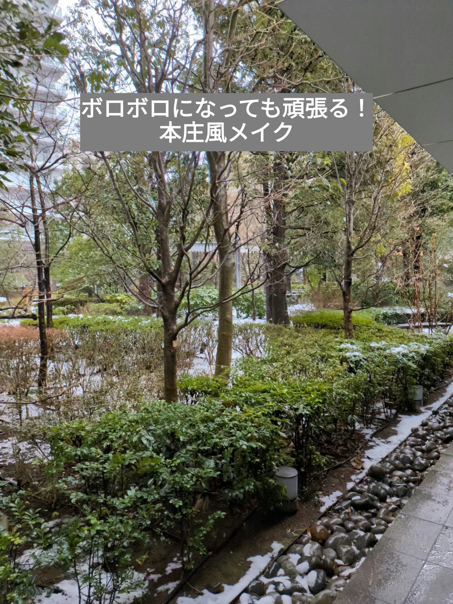 ミックスアイブロウ/キャンメイク/パウダーアイブロウを使ったクチコミ（1枚目）