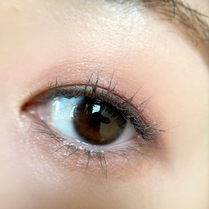 レ キャトル オンブル/CHANEL/アイシャドウパレットを使ったクチコミ(6枚目)