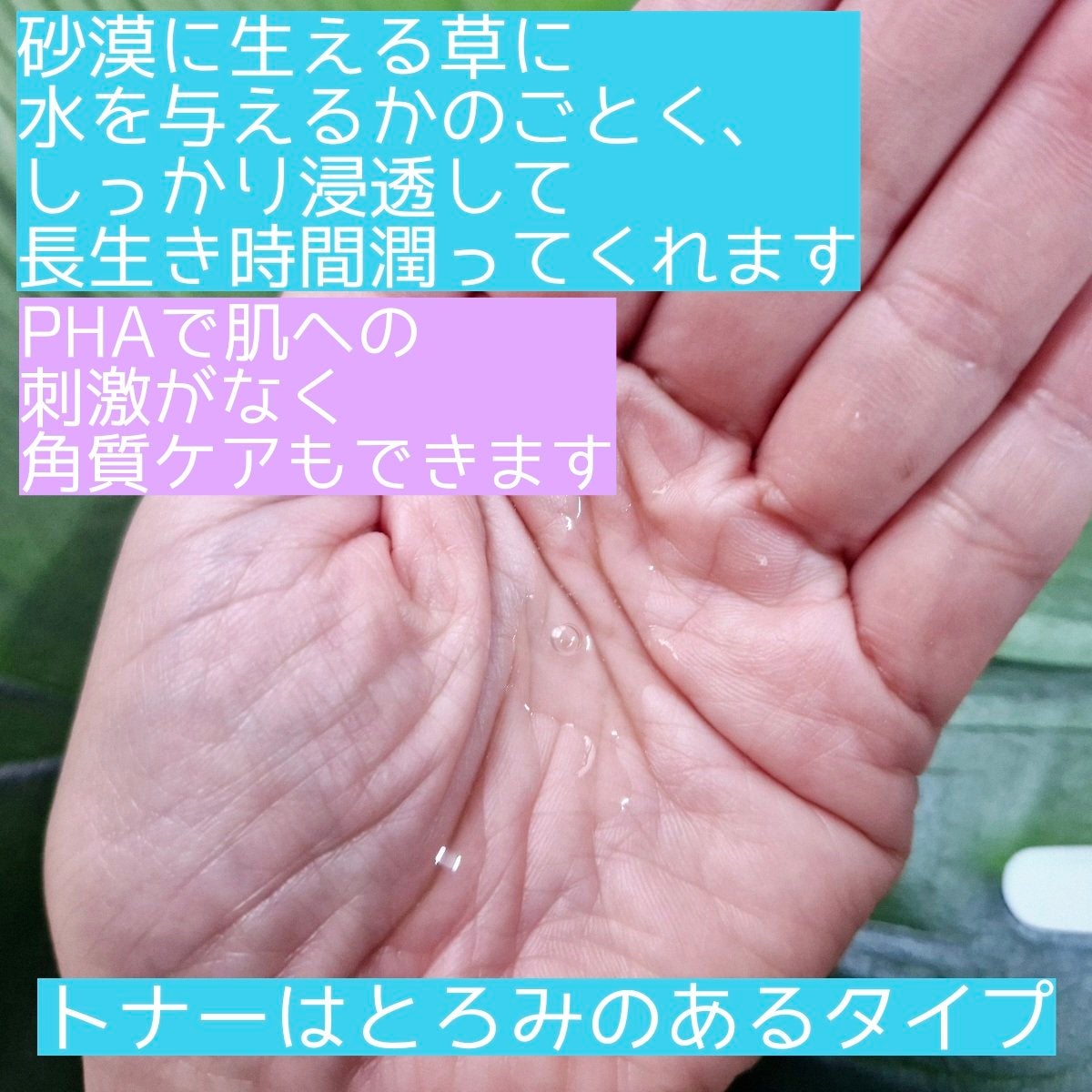 復活草PHAトナー スキンブースター/Abib /化粧水を使ったクチコミ(4枚目)