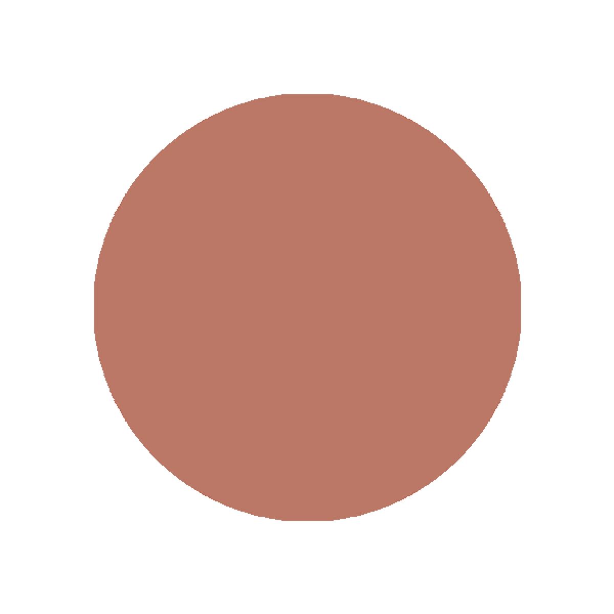 リップスティック N 315 ル ボー ディマンシュ