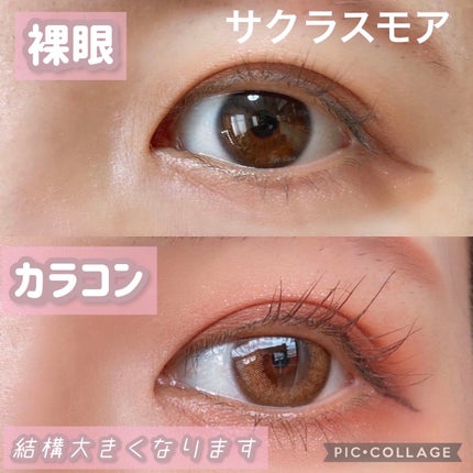 MOLAK 1day/MOLAK/ワンデー(1DAY)カラコンを使ったクチコミ(9枚目)