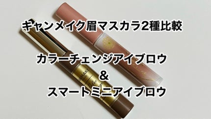 スマートミニアイブロウカラー/キャンメイク/眉マスカラを使ったクチコミ(1枚目)