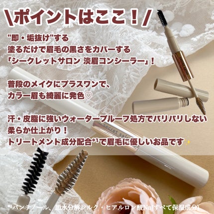 淡眉コンシーラー/シークレットサロン/眉マスカラを使ったクチコミ(2枚目)